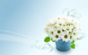 宽屏合成花卉 第一辑_6