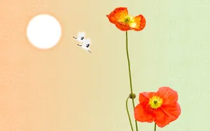 宽屏合成花卉 第一辑_7