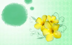 宽屏合成花卉 第一辑_13