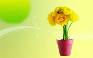 宽屏合成花卉 第一辑_15