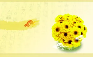 宽屏合成花卉 第一辑_16