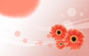 宽屏合成花卉 第一辑_17