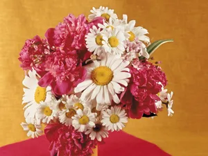 鲜花特写 第六辑_2