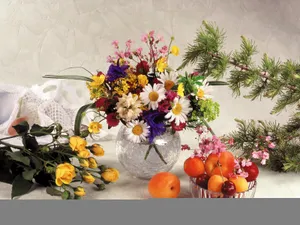 鲜花特写 第六辑_3