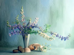 鲜花特写 第11辑_3