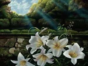 鲜花特写 第11辑_9