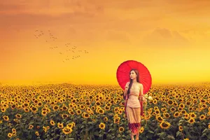 向日葵花海美女唯美写真图片_1