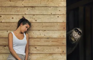 大猩猩和美女图片_1
