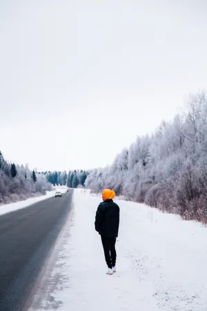 冬季雪景户外背影图片