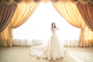 新娘拖尾蕾丝婚纱图片