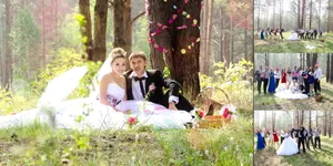 树林情侣婚纱照套图_1