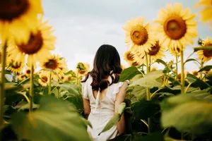 花海写真美女背影图片_1