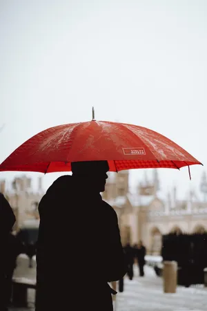一个人打伞淋雨图片_1