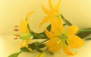 鲜花特写 第一辑_9