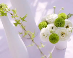 室内花 第14辑_6