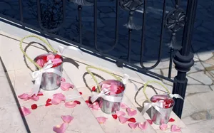 室内花 第十辑_2