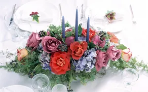 室内花 第十辑_7