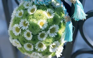 室内花 第十辑_11