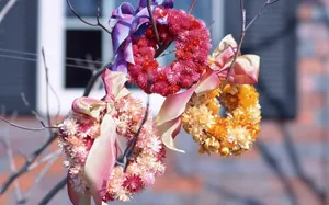 室内花 第十辑_18