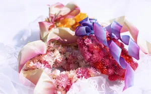 室内花 第十辑_19