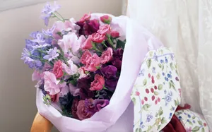室内花 第九辑_6