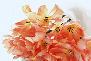 室内花 第九辑_7