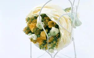 室内花 第九辑_8