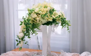 室内花 第九辑_9