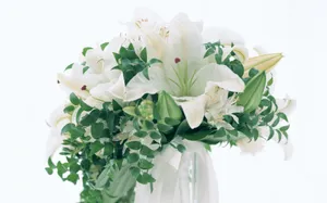 室内花 第九辑_15