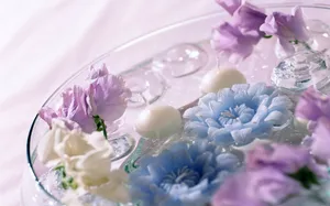 室内花 第九辑_17