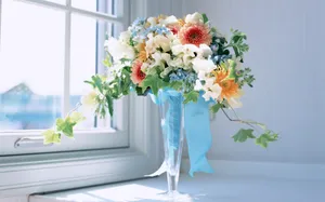室内花 第九辑_18