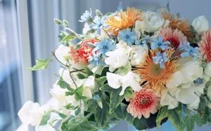 室内花 第九辑_19