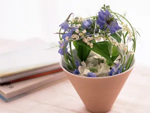 室内花 第八辑_8