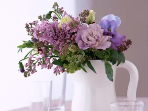 室内花 第八辑_12