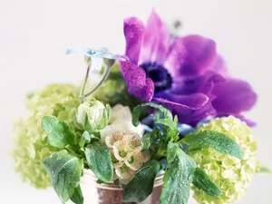 室内花 第八辑_13
