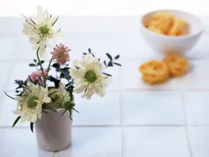 室内花 第八辑_15