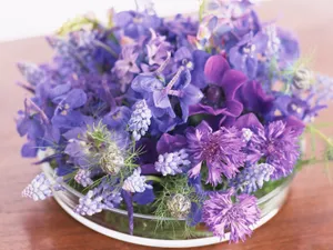 室内花 第八辑_19