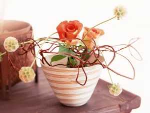 室内花 第七辑_2