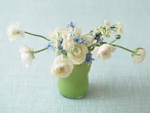 室内花 第七辑_6