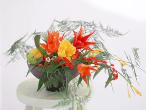 室内花 第七辑_16
