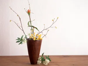 室内花 第六辑_3