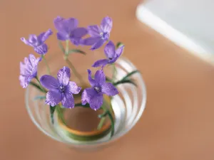 室内花 第六辑_4