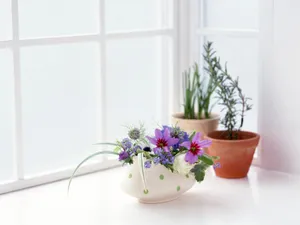 室内花 第六辑_11