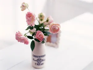 室内花 第六辑_12