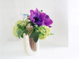 室内花 第六辑_13