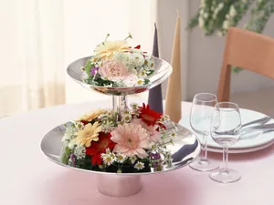 室内花 第六辑_17