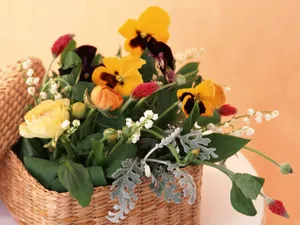 室内花 第六辑_19