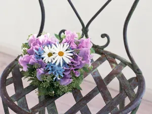 室内花 第五辑