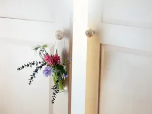 室内花 第五辑_2