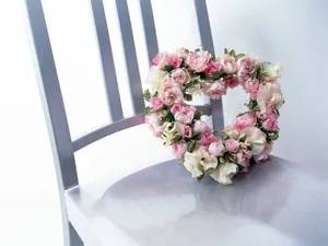 室内花 第五辑_5